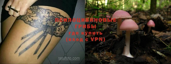 сатива Михайловск